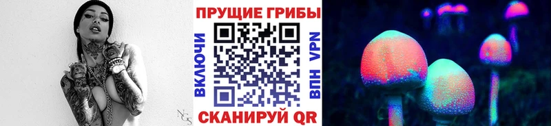 Галлюциногенные грибы прущие грибы  Купить где  Салехард 